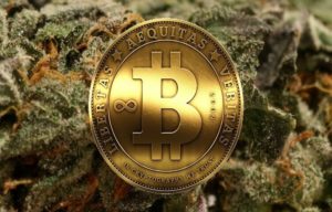 buy weed with bitcoins